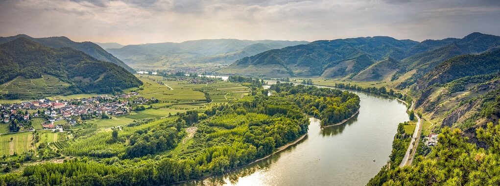 Walsen langs de Donau