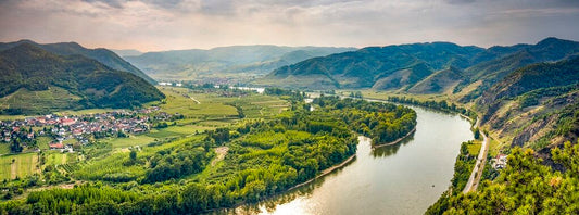 Walsen langs de Donau