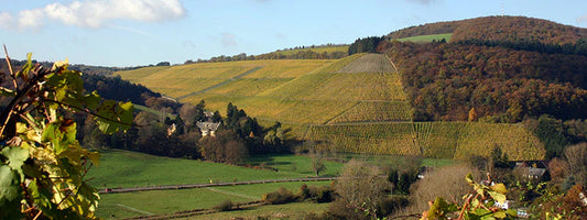 Weingut Maximin Grünhaus - Moezel - Duitsland